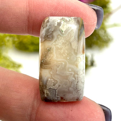 Crazy Lace Agate - Cabochon