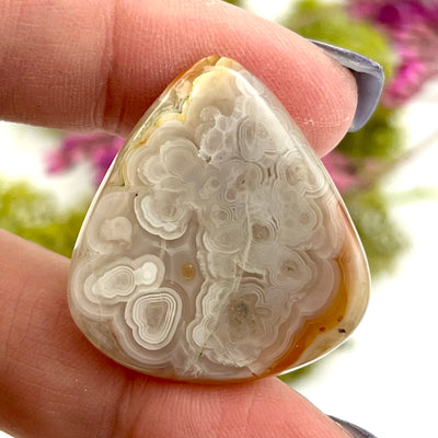 Crazy Lace Agate - Cabochon