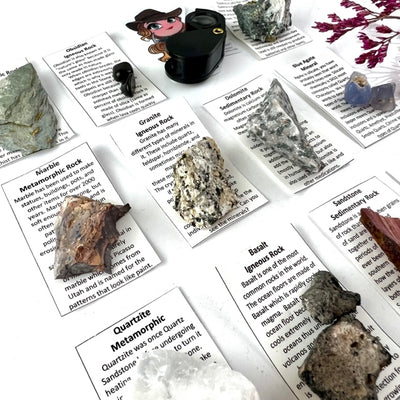 Rock & Mineral Set - School & Homeschool Geology Series