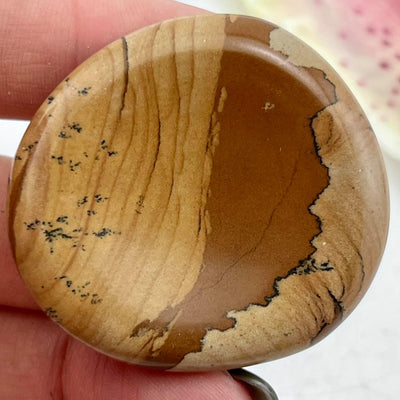 Picture Jasper - Large Worrystone