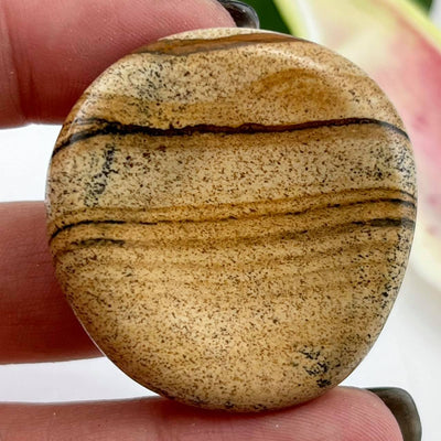 Picture Jasper - Large Worrystone