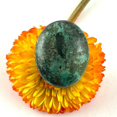 Turquoise - Cabochon