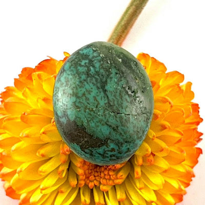 Turquoise - Cabochon