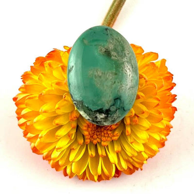 Turquoise - Cabochon