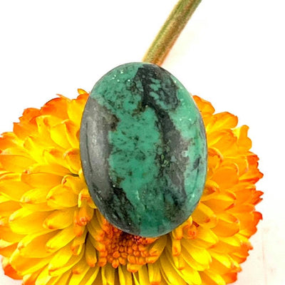 Turquoise - Cabochon