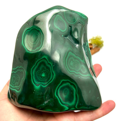 Malachite - Freeform Polished Mineral